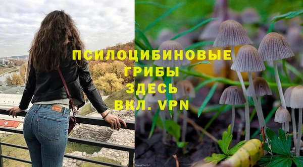 МДПВ Володарск