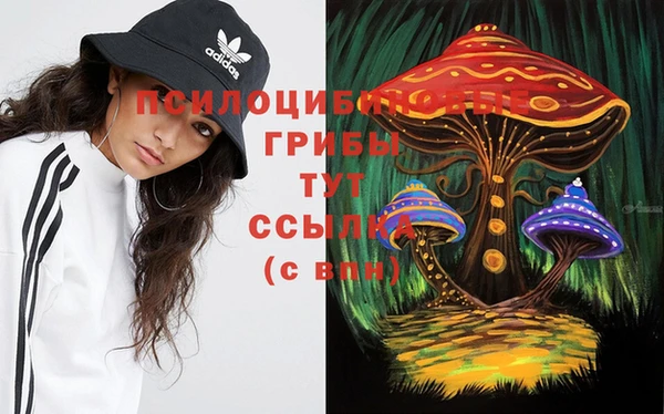тгк Верхний Тагил