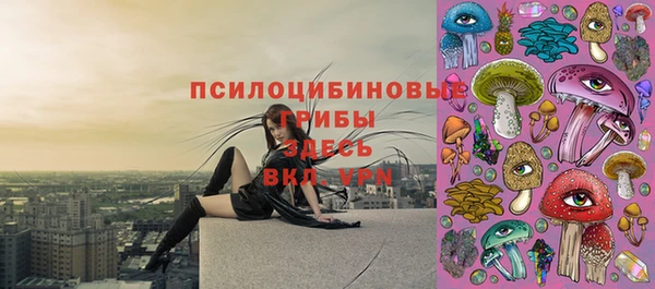 тгк Верхний Тагил