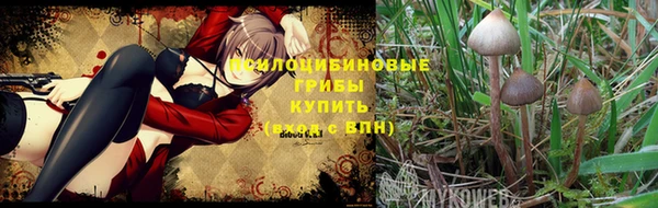 соль ск Верхнеуральск