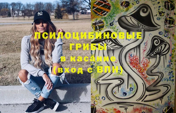 соль ск Верхнеуральск
