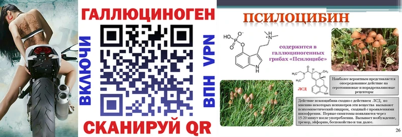 Псилоцибиновые грибы мухоморы  кракен рабочий сайт  Дальнереченск 